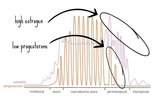 HIGH ESTROGEN AND LOW PROGESTERONE IN PERIMENOPAUSE